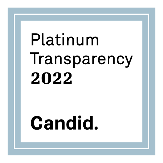 Platinum transparency 2022